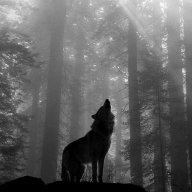 J.A. Lone Wolf