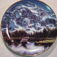 Landonoftheforest