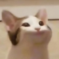 VRostyG