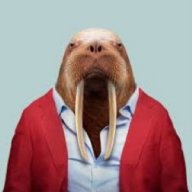 TheFirstWalrus