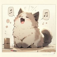 Cooki