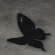 ShadowXCrimson
