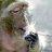 MrMonke420