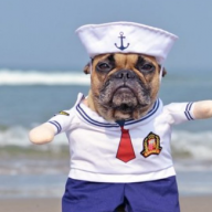 PugBTW