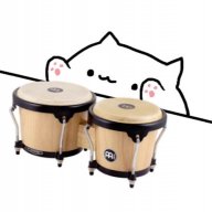 KittenLover73