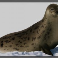 seal123