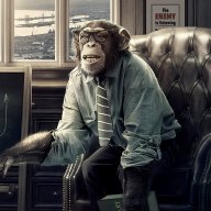 lilmonkeylv