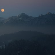 ShadeOut
