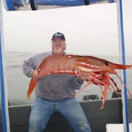 Moby Shrimp