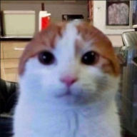 Notsneaky