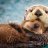 YourLocalOtter